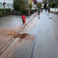 olspur2.jpeg